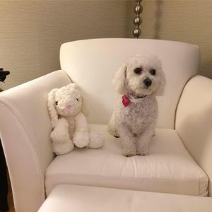 Meet your Posher, Marma